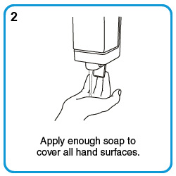 Apply enough soap to cover all hand surfaces.