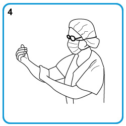 Steps 3-4. Smear the hand rub on the right forearm up to the elbow.