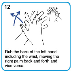 Rub the back of the left hand, including the wrist, moving the right palm back and forth and vice-versa.